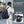 Black 36 litre business backpack with multiple compartments and a luggage strap