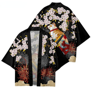 Male kimono cat