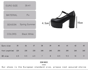 T Strap Shoes Y2K