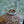 Amber Flower Y2K Ring — photo 5