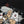 Baggy Shirts Y2K Dogs Print