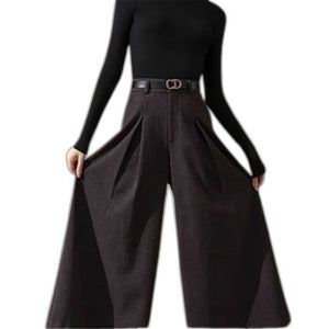 Baggy Thicken Skirt Pants - product view on white background