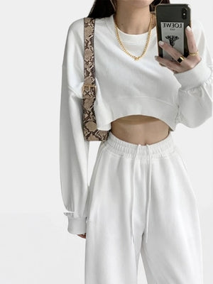 Blank Cropped Hoodie