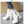 Casual White Platform Boots Women