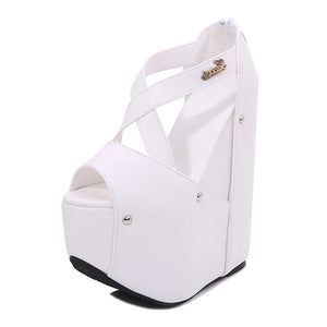 Chunky Platform Sandals Heels