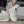 Classic Retro Shoes Y2K
