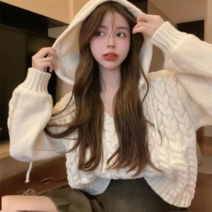 Crop Pullover Hoodie