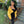 Yellow cropped denim jacket worn off the shoulders over a black strapless dress, front view in a garden