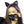 Cyberpunk Black Cat Ears - product view on white background