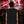 Seen from behind in the crowd, the black tank showing its plain back and wide dropped armholes