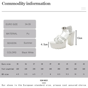 Double Platform Chunky Sandals