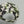 Flower Y2K Baseball Cap