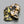 Flower Y2K Baseball Cap
