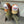 Fresh Fruit Letters Y2K Hats