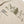 Funny Cat Streetwear Y2K T Shirt