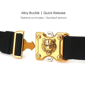Gold Buckle Tactical Belt