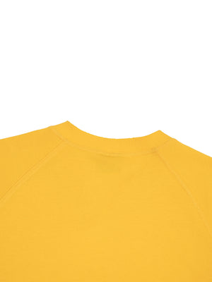 Back neck detail in yellow, ribbed collar and the raglan seams running out towards the shoulders
