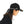 HARAJUKU TECHWEAR CAP - product view on white background