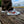 Lightning Sneakers Shoes Y2K