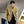 Y2K Khaki Jacket