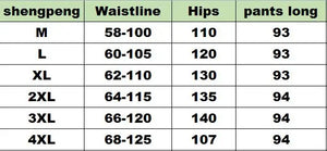 New Korean Skirt Pants