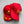New Sun Protection Y2K Cap