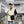Black techwear sling bag with a dedicated phone pocket