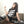 Short Sleeve Y2K Top