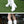 Square Heel White Platform Boots Women