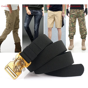 Tactical Belt Male Gold