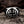 Templar Cross Gothic Ring — photo 1