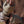 Terry Fabric Techwear Fingerless Gloves