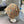 Spring Autumn Tie-dye Gradient Color Ripped Hole Vintage Beanie Knitted Hat Man Woman Hip Hop Punk Pullover Cap Head Cov