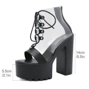 Transparent Lace-Up Shoes Y2K