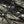 Close-up of the brown print, the branch pattern resolving into leaves, bark and open sky