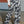 Women Drawstring Camo Cargo Pants