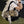 Women Millennium Gothic Y2k Purse