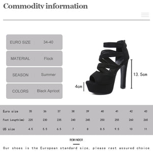 Women's Chunky Heel Sandals