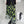 Y2K Midi Skirt