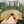 Y2K Sunglasses Rectangle