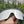 Y2K Sunglasses Rectangle