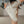 Y2K White Leatther Shoes