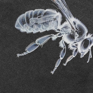 Y2K X-Ray Hornet Graphic Tees