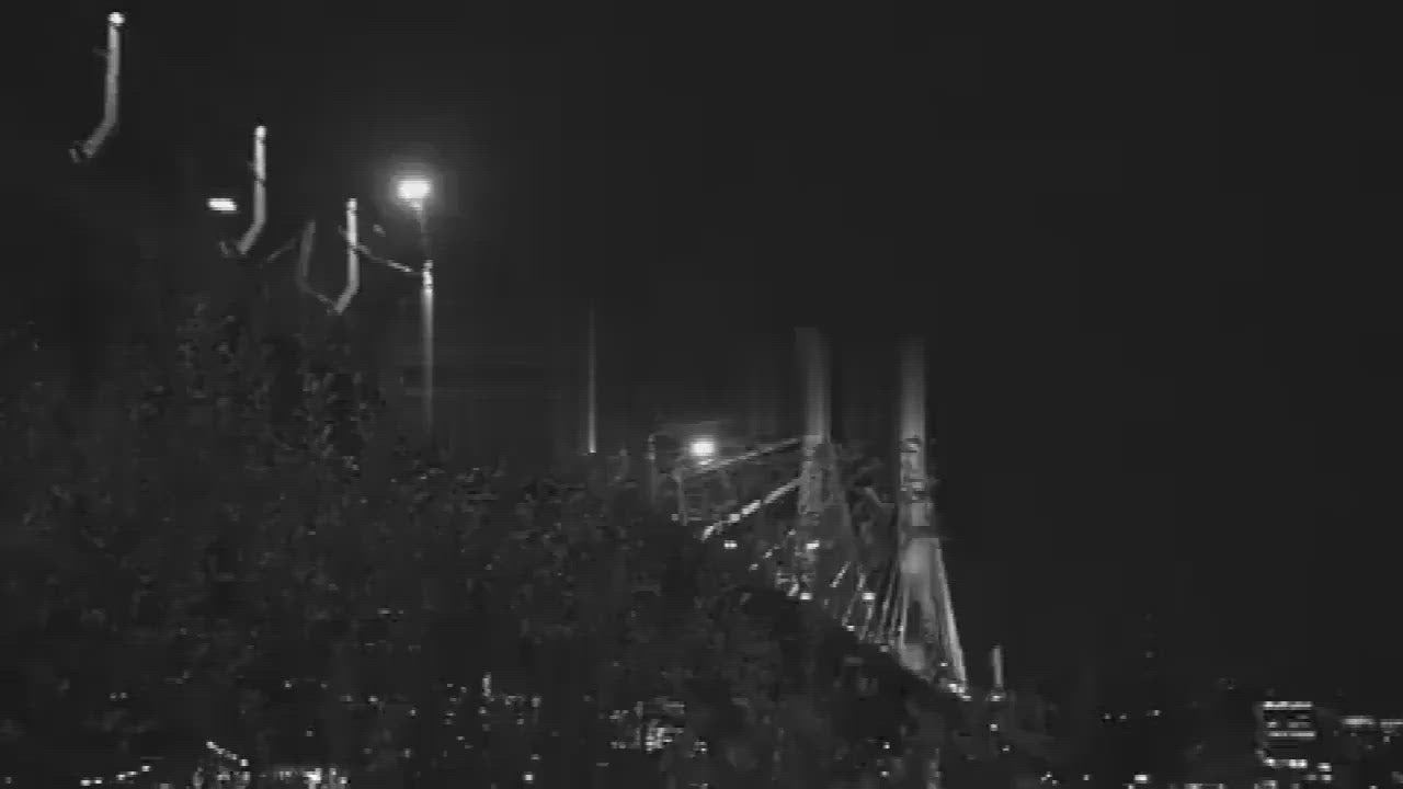 Reflective Techwear Vest | CYBER TECHWEAR®