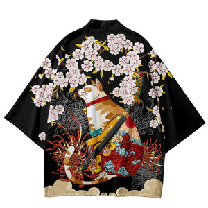 Male kimono cat