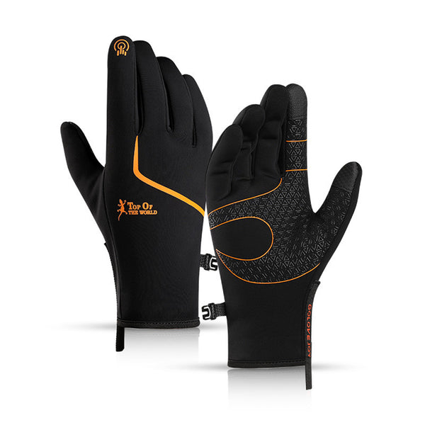 Winter Gloves Techwear